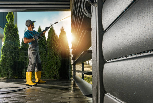 Best Soft Washing  in Warm Springs, CA